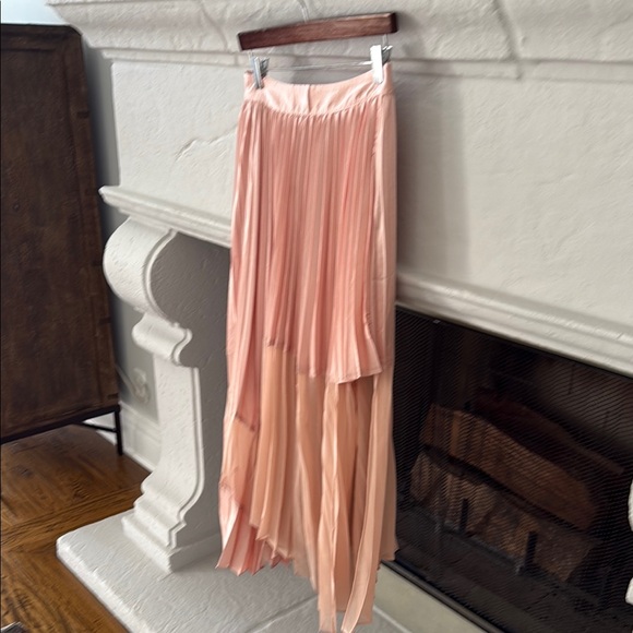 Pink Pleated Maxi Skirt - Picture 3 of 6